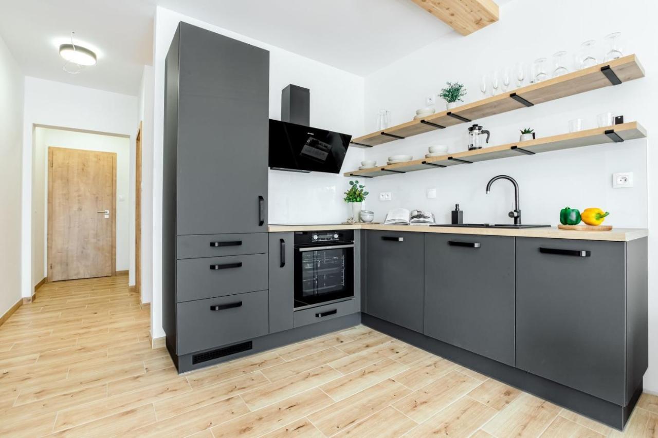 Apartmany Karlovy Dvory Горни-Плана Экстерьер фото
